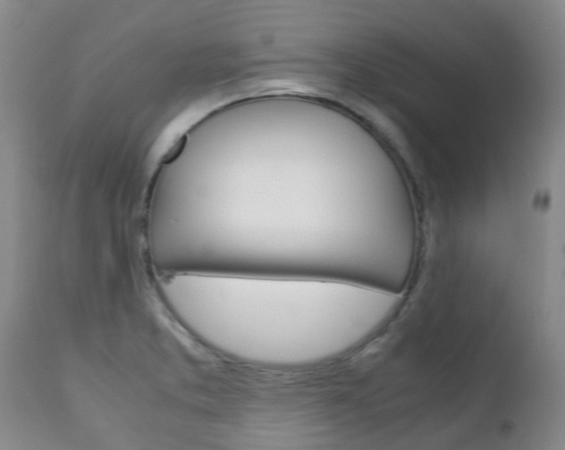 X0000111231373200907021013