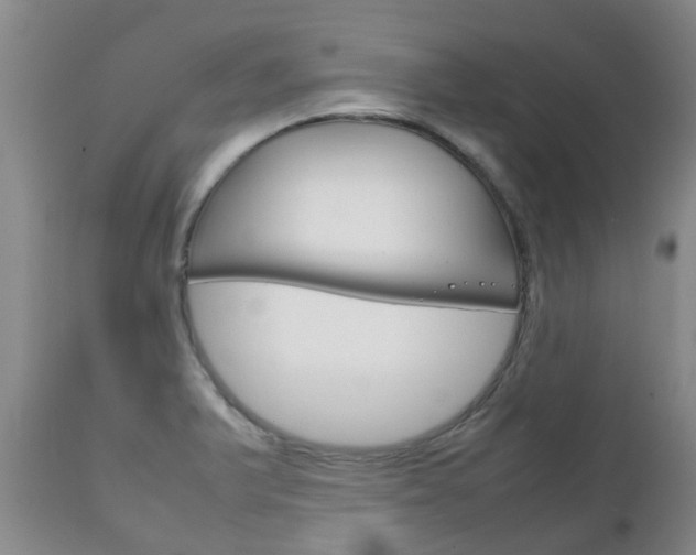 X0000111231375200907021013
