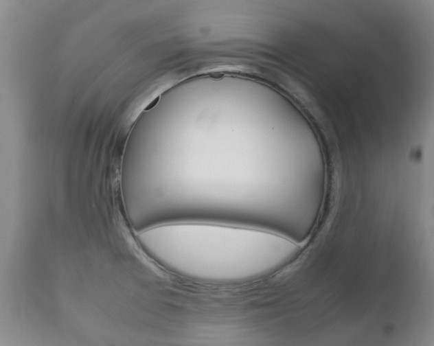 X0000111231377200907021013