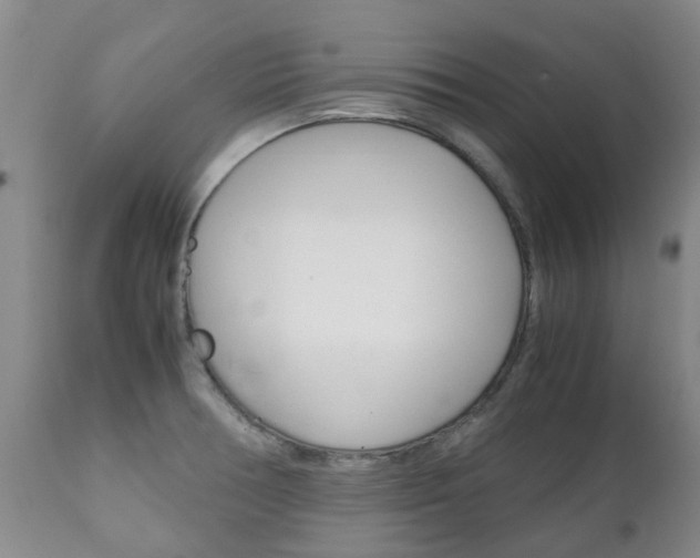X0000111231378200907021013
