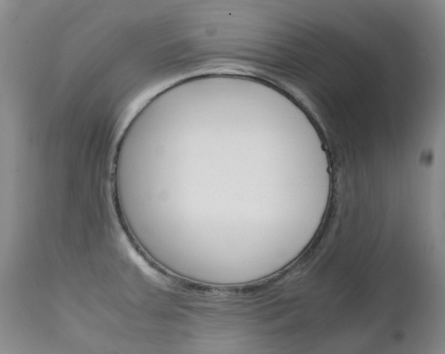 X0000111231379200907021013