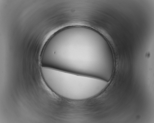 X0000111231380200907021013