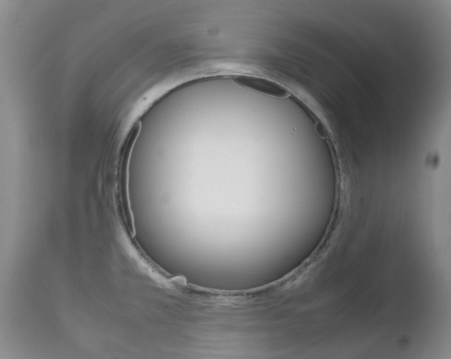 X0000111231381200907021013