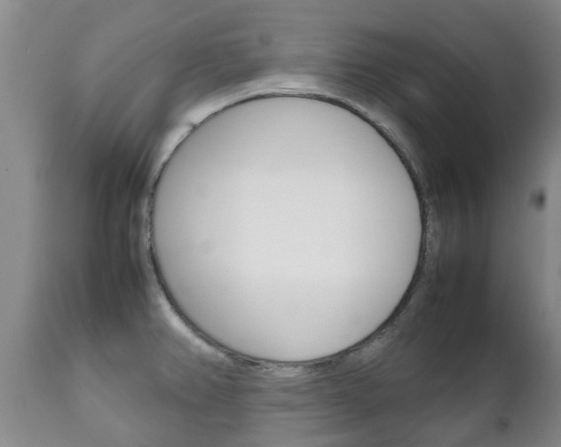 X0000111231382200907021013
