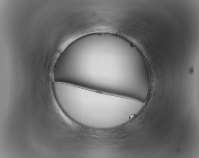 X0000111231383200907021013