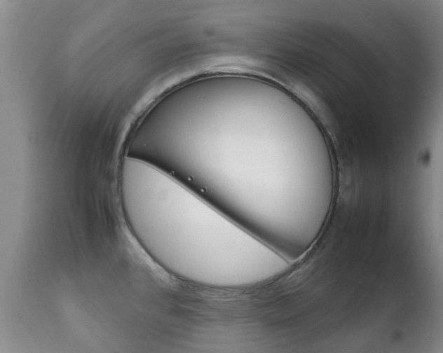 X0000111231384200907021013