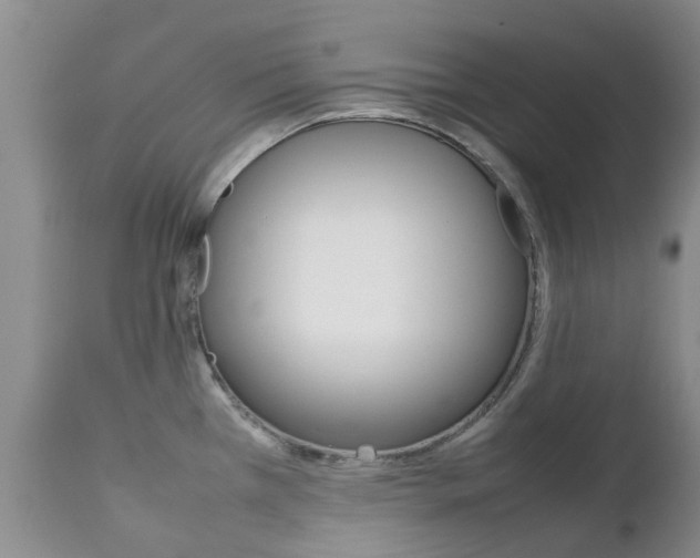 X0000111231385200907021013