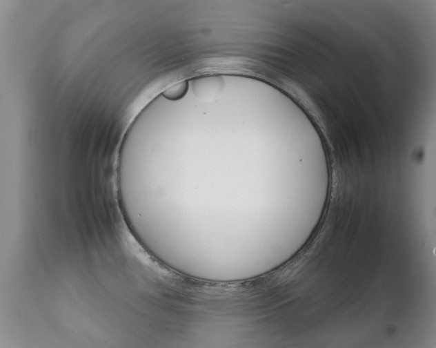 X0000111231386200907021013