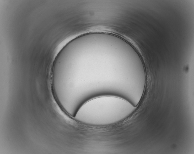 X0000111231387200907021013