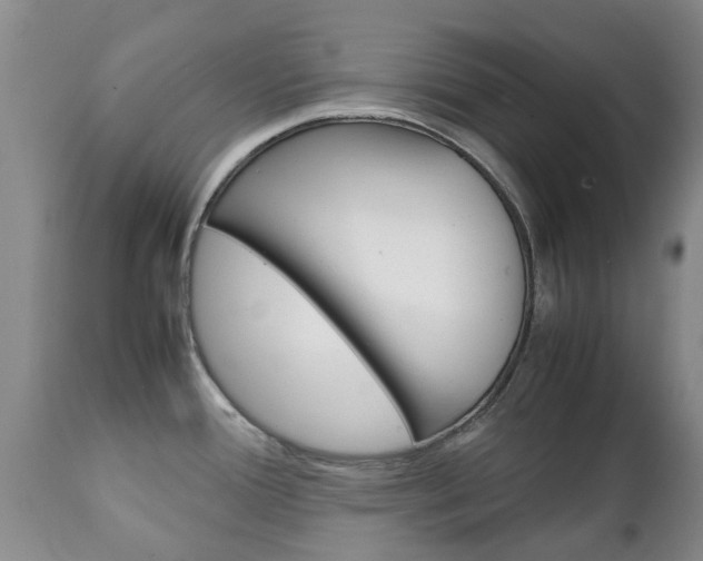 X0000111231388200907021013