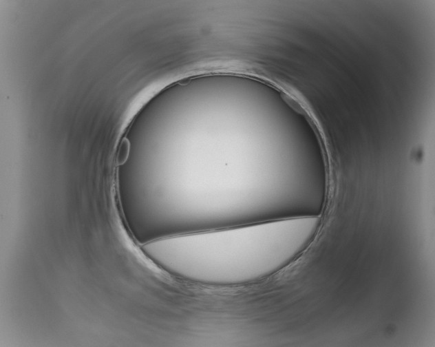 X0000111231389200907021013