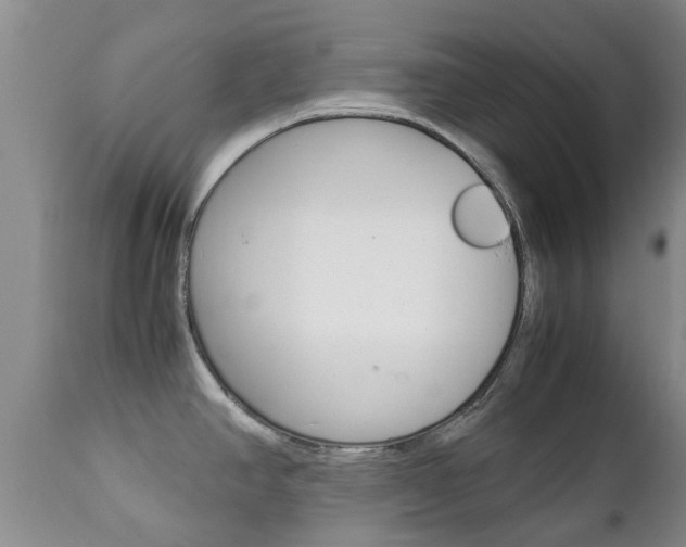 X0000111231390200907021013