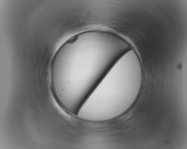 X0000111231391200907021013