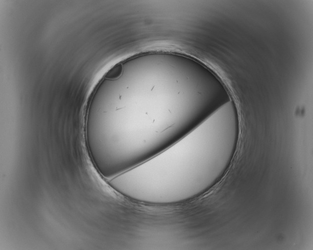 X0000111231392200907021013
