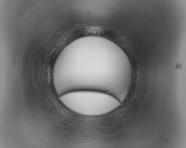 X0000111231394200907021012