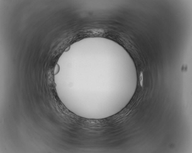 X0000111231395200907021012