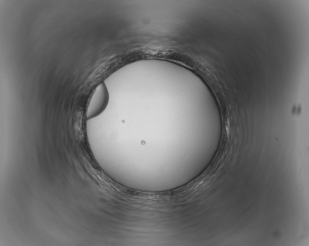 X0000111231396200907021012