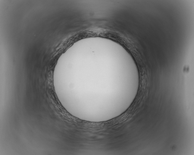 X0000111231397200907021012