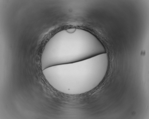 X0000111231398200907021012