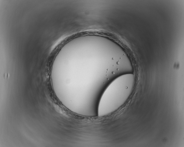 X0000111231400200907021012