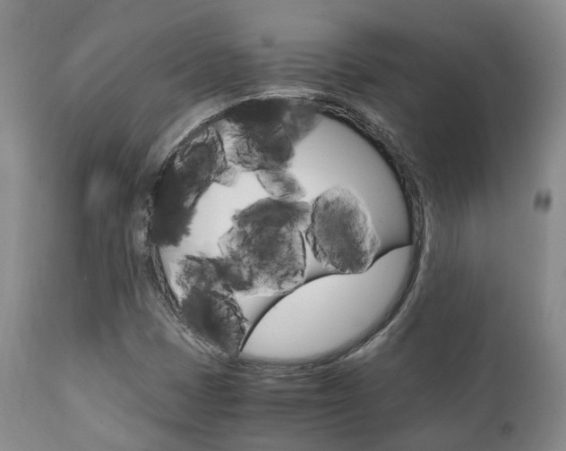X0000111231401200907021012
