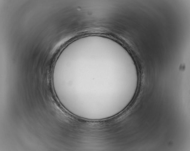 X0000111231402200907021012
