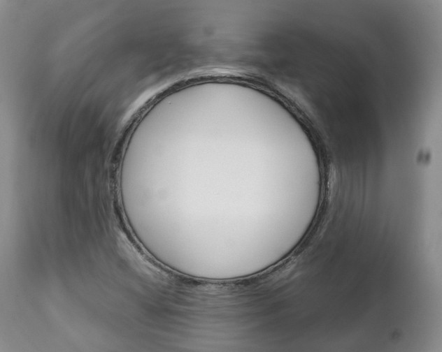 X0000111231404200907021012