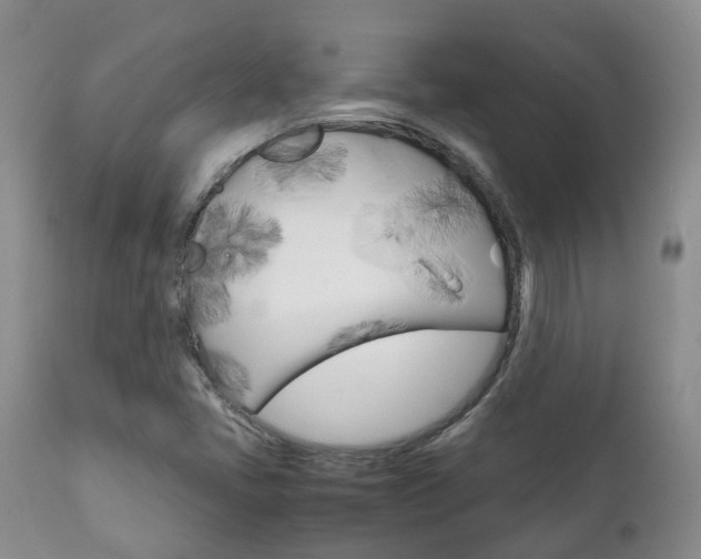 X0000111231405200907021013