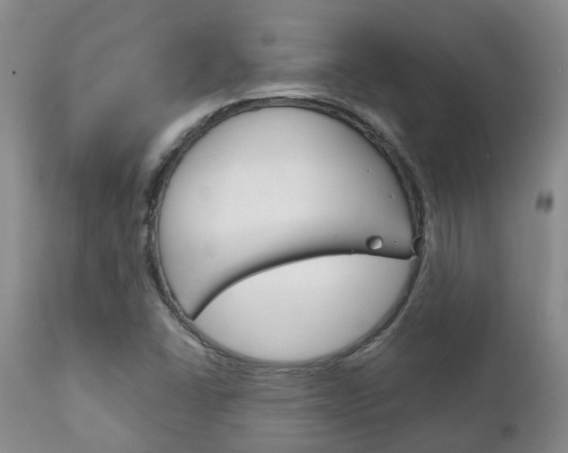 X0000111231406200907021013