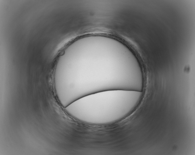 X0000111231407200907021013