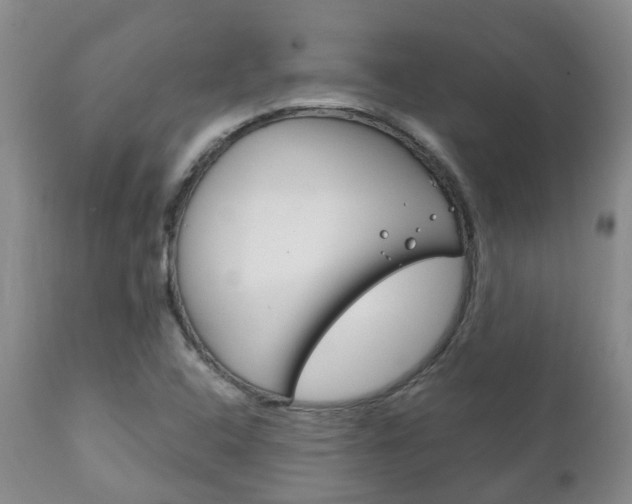 X0000111231408200907021013