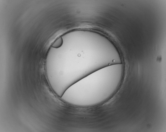 X0000111231409200907021013