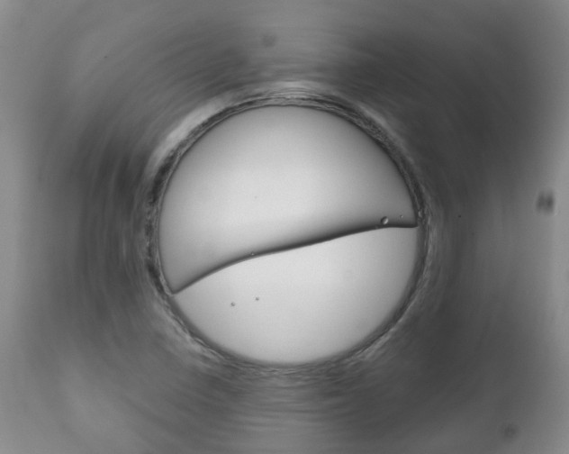 X0000111231410200907021013