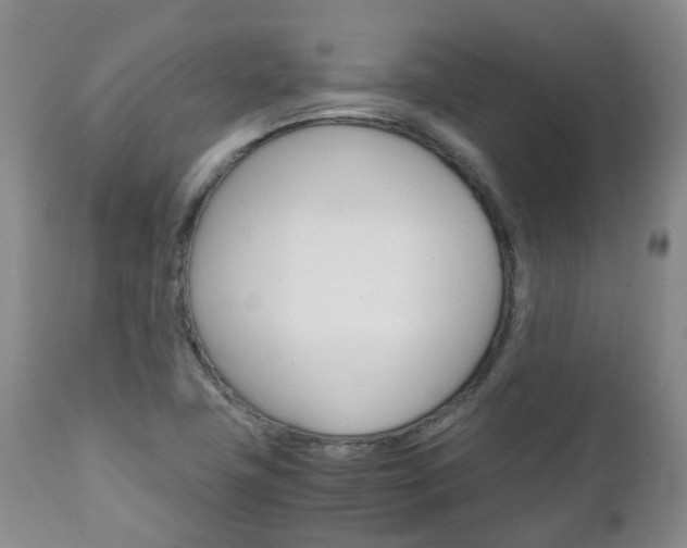 X0000111231411200907021013