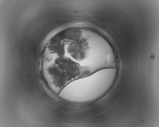 X0000111231413200907021013