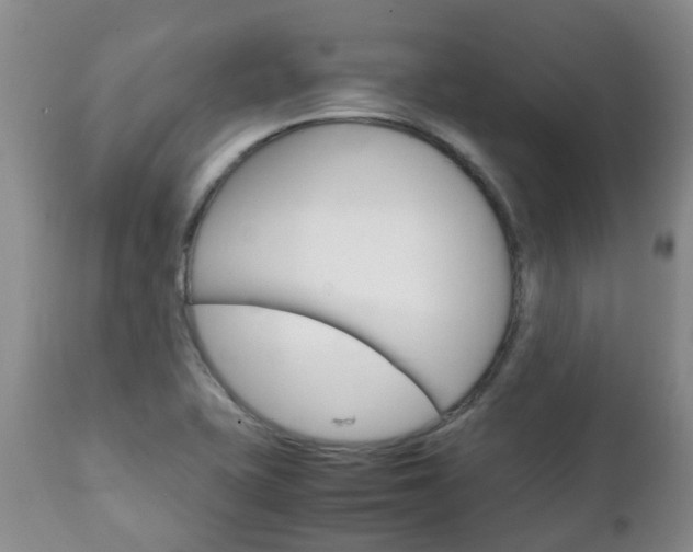 X0000111231415200907021013