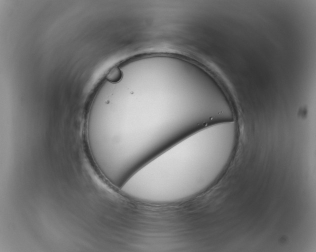 X0000111231416200907021013