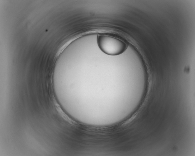 X0000111231417200907021013