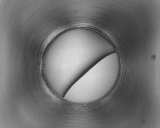 X0000111231418200907021013