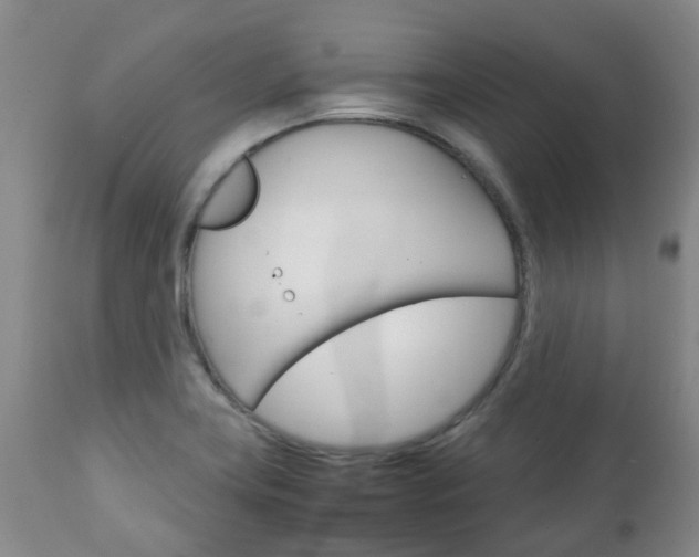 X0000111231419200907021013