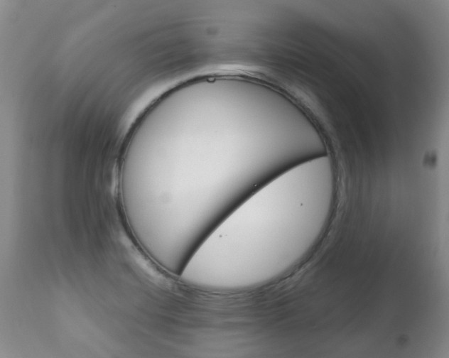 X0000111231420200907021013
