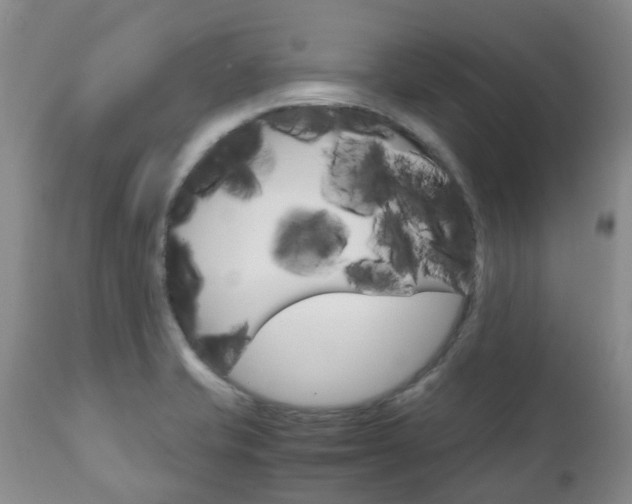 X0000111231421200907021013