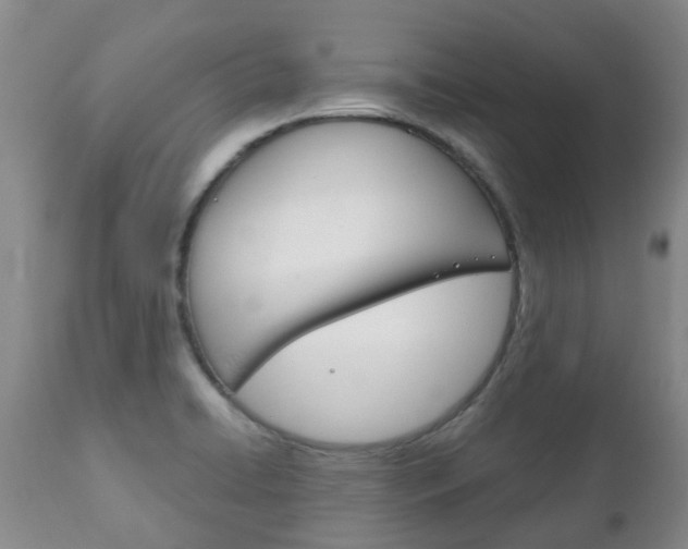 X0000111231422200907021013