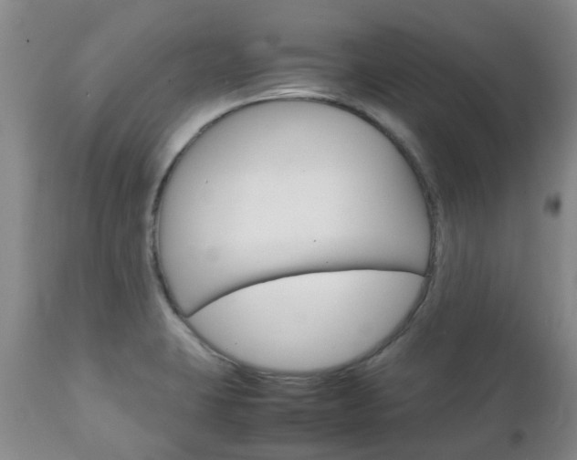 X0000111231423200907021013