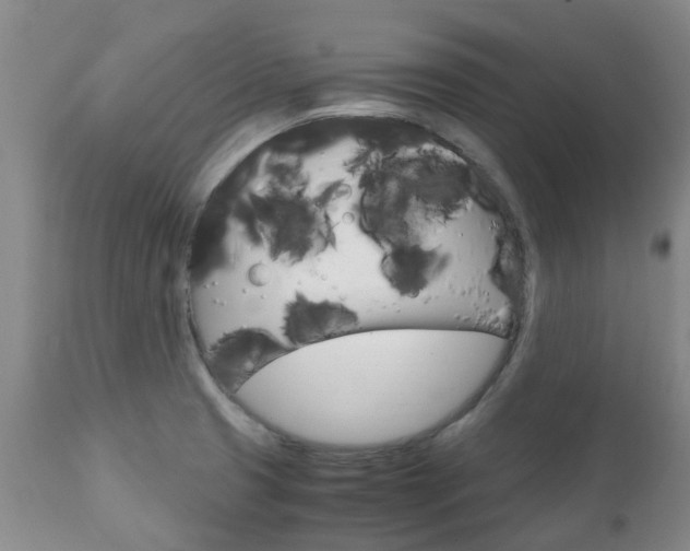 X0000111231425200907021013