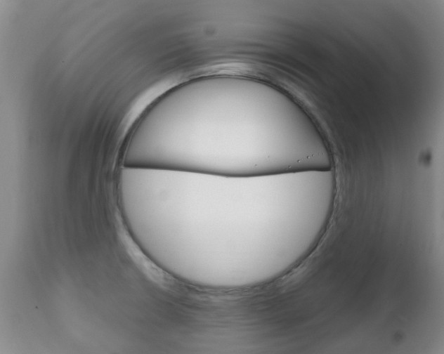 X0000111231426200907021013