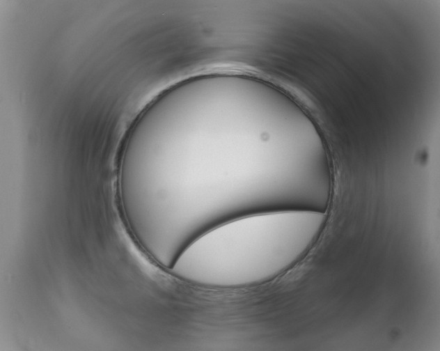 X0000111231430200907021013