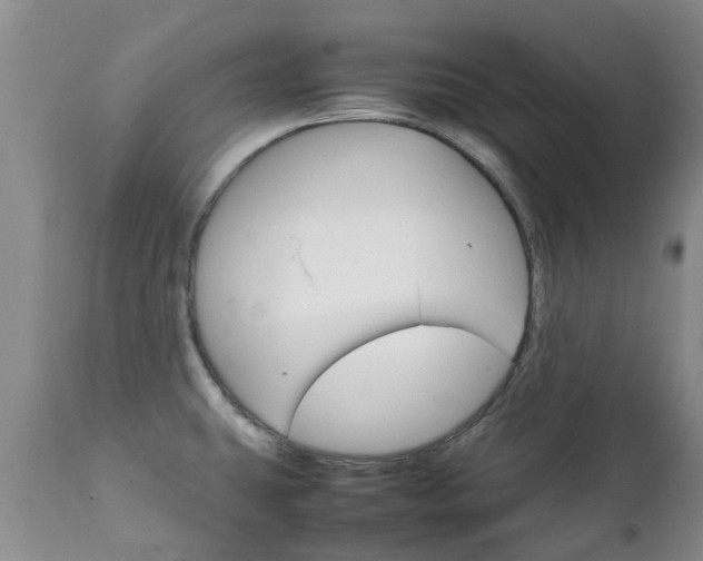 X0000111231431200907021013