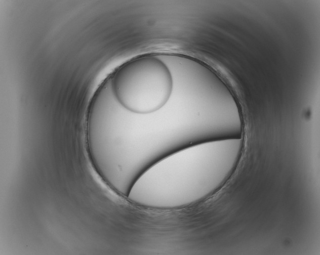 X0000111231432200907021013