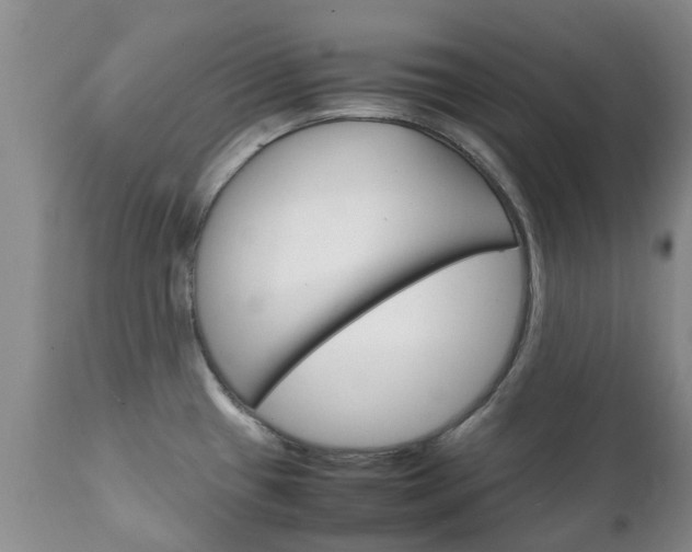 X0000111231433200907021013